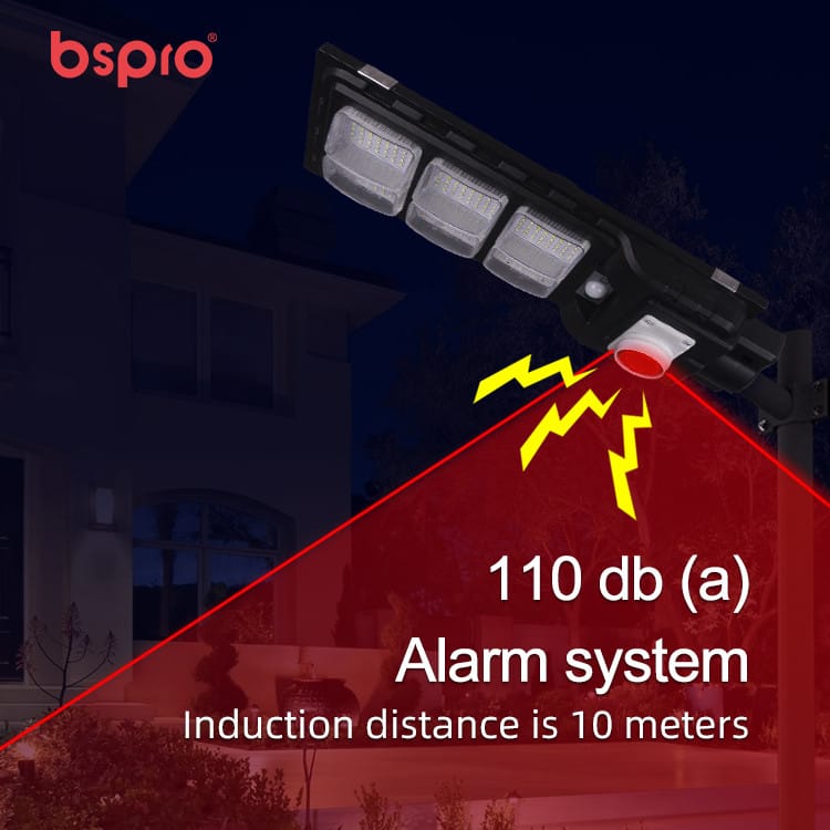 Alarm system with motion detection light