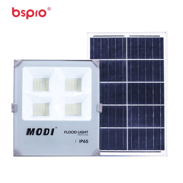 Solar-powered flood light with panel