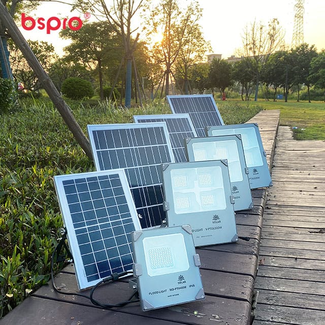 Solar lights arranged on pathway