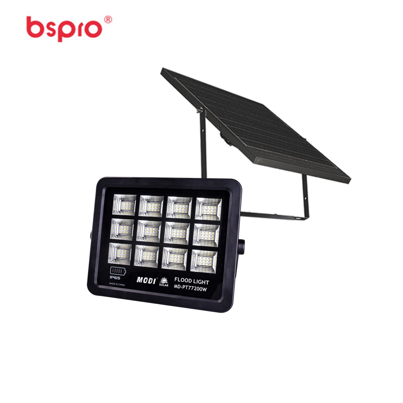 Solar flood light with panel